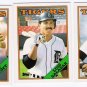 1988 Topps Traded Detroit Tigers Team Set-3 Cards