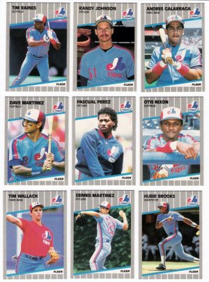 1989 Fleer Montreal Expos Team Set-25 Cards