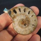 Milky White 925 Silver Ammonite Sea Fossil Pendant A