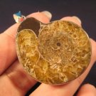 925 Silver pendant ancient sea ammonite fossil A