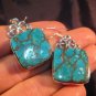 925 Silver Turquoise crystal stone earrings