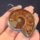 925 Silver ammonite ancient marine fossil pendant A 925 Silver ammonite ancient marine fossil pendant A