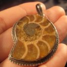 925 Silver Madagascar Ocean Ammonite fossil pendant A