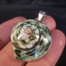 925 Silver Green Turban Shell pendant necklace Thailand A4 925 Silver Green Turban Shell pendant necklace Thailand A4