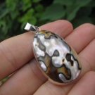 925 Silver African Turban Shell pendant Thailand jewelry art A6 925 Silver African Turban Shell pendant Thailand jewelry art A6