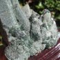 Green Quartz Crystal Point Cluster Stone rock mineral art China A4