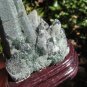 Green Quartz Crystal Point Cluster Stone rock mineral art China A4