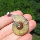 925 Silver Africa Ammonite Fossil Pendant Necklace Thailand jewelry art A6 925 Silver Africa Ammonite Fossil Pendant Necklace Thailand jewelry art A6