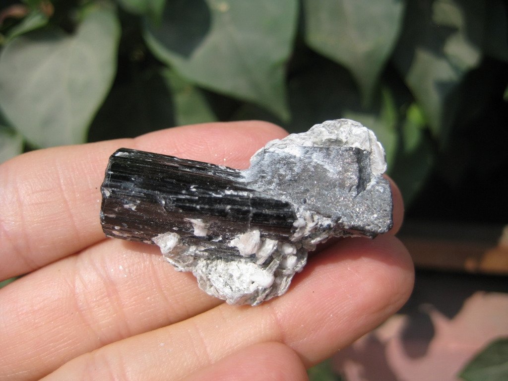 Natural Black Tourmaline Quartz stone mineral crystal specimen Afghanistan A10