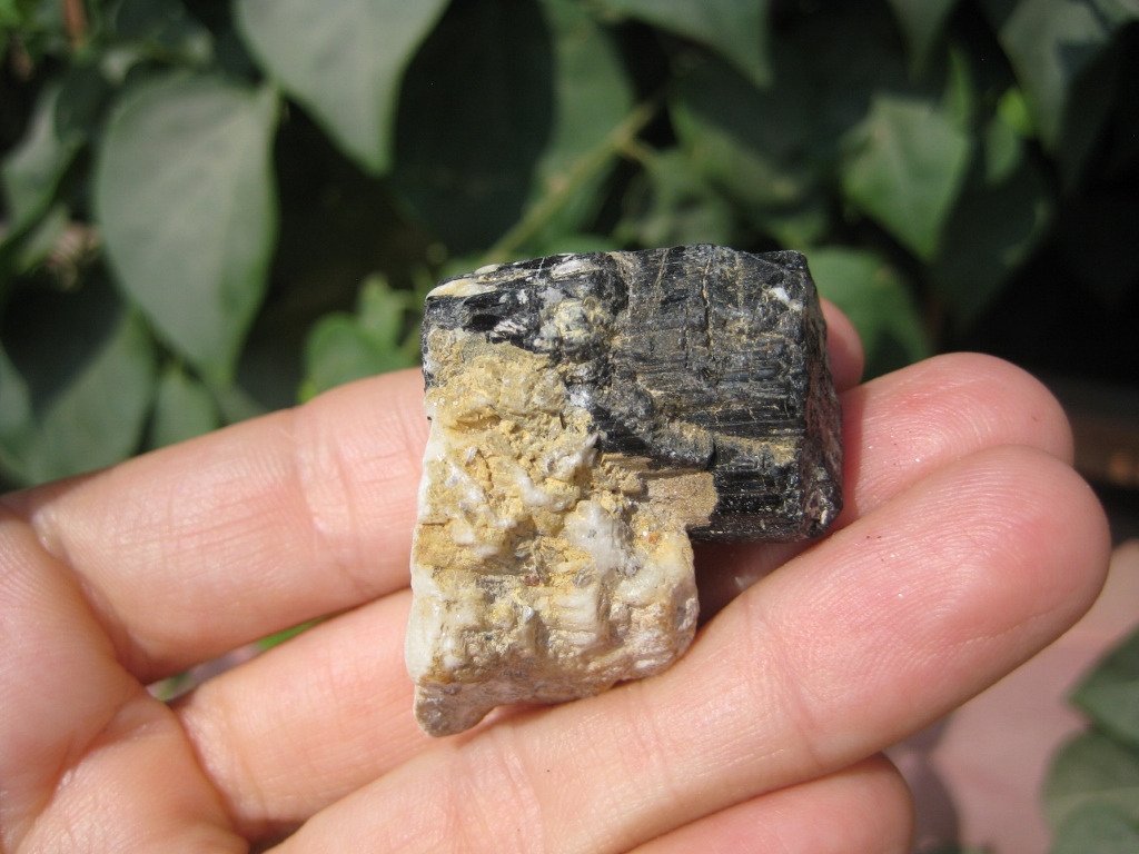 Natural Black Tourmaline Quartz stone mineral crystal specimen Afghanistan A12