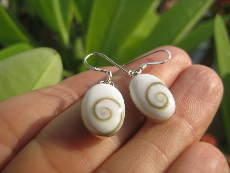 925 Silver Shiva eye shell earrings earring Thailand jewelry art A7