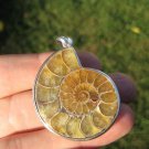 925 Silver Ammonite Fossil pendant thailand jewelry art 925 Silver Ammonite Fossil pendant thailand jewelry art