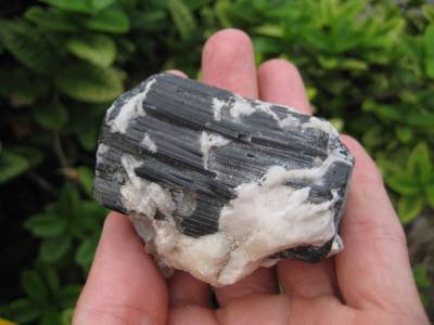 Natural black Tourmaline Quartz stone mineral crystal specimen Afghanistan