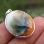 925 Silver Shiva eye sea shell Pendant Thailand jewelry art A25
