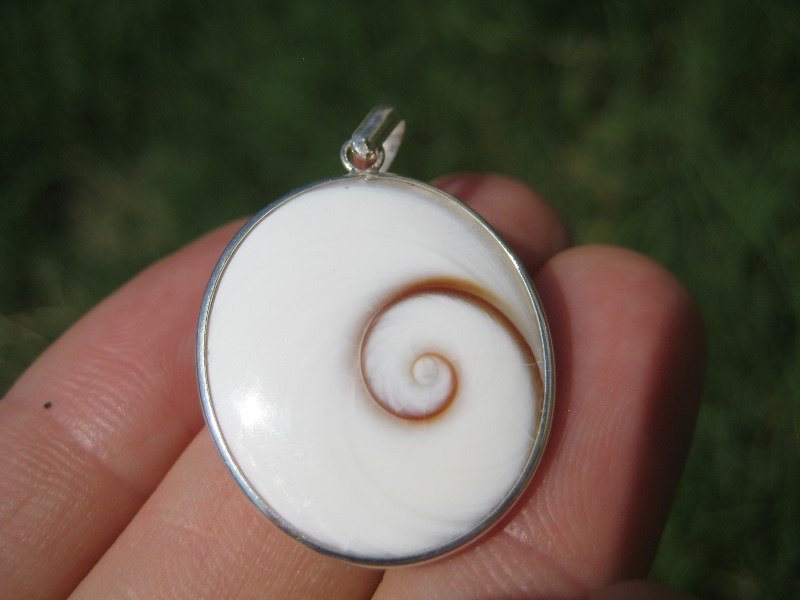 925 Silver Shiva eye sea shell Pendant Thailand jewelry art A20