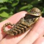 Brass Phallic Phallus Scorpion Amulet Talisman Paladkik Pendant Luck Charm A4