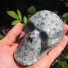 Natural Green Kiwi Jasper Crystal Skull stone Mineral art carving A20 Natural Green Kiwi Jasper Crystal Skull stone Mineral art carving A20