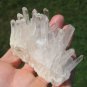 Natural Quartz crystal point matrix stone mineral specimen A18