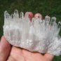 Natural Quartz crystal point matrix stone mineral specimen A18