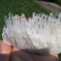 Natural Quartz crystal point matrix stone mineral specimen A18