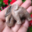 Natural Brown Petrified Wood Elephant  Carving Statue Myanmar  EB405
