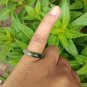 Natural Jadeite Jade ring Thailand jewelry stone mineral size  7.25 US  EB 076