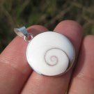 925 silver Shiva Eye Shell necklace pendant necklace Thailand jewelry EB210 925 silver Shiva Eye Shell necklace pendant necklace Thailand jewelry EB210