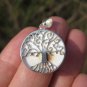 925 silver Shiva Eye Shell necklace pendant necklace Thailand jewelry EB210