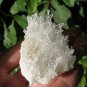 Natural Quartz crystal cluster point specimen mineral stone
