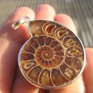 925 silver Africa Ammonite Fossil necklace pendant Thailand jewelry art A30 925 silver Africa Ammonite Fossil necklace pendant Thailand jewelry art A30