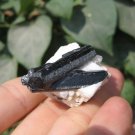 Natural Black Tourmaline Quartz stone mineral crystal specimen Afghanistan A9