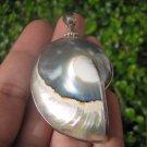 925 Silver Nautilus Shell Pendant Necklace Thailand Jewelry Art EB 578 925 Silver Nautilus Shell Pendant Necklace Thailand Jewelry Art EB 578