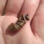 Small Monkey Phallic Phallus Amulet Statue Thailand CH6355