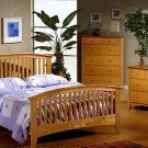 Desert Delight Queen Bed