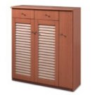 Shoe Case SP 66