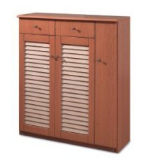 Shoe Case SP 66