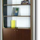 Bookcase v-70