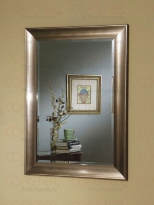 Mirror with Silver/Black frame