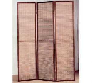 Panel Screen China