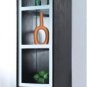 Modern Curio Cabinet CU280 in Wenge Finsh