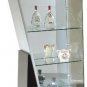 Display Case V235 Geometric Shaped