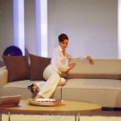 Microfiber Sofa Boss Fabric in Brown or Cream