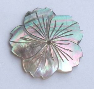 2 Black-lip shell focal beads, flower,45mm. Center drilled