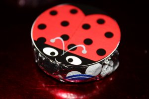 Lady Bug Circle Printable File