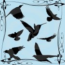 Black Birds-Digital Clipart-Art Clip-Gift Cards-Banner-Gift Tag-Jewelry-T shirt