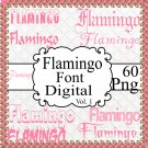Flamingo Font Digital Vol. 1