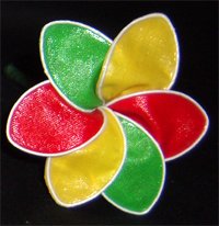 Rasta
