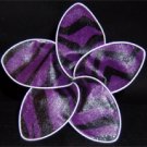 Purple Zebra
