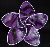 Purple Zebra