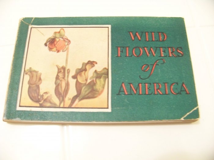 Wild flowers of America book